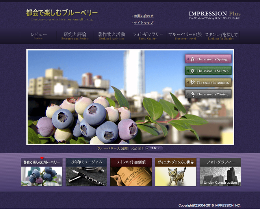 blueberrycity_cap01
