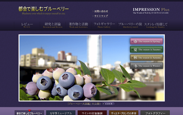 サービスサイト制作 - IMPRESSION Plus様